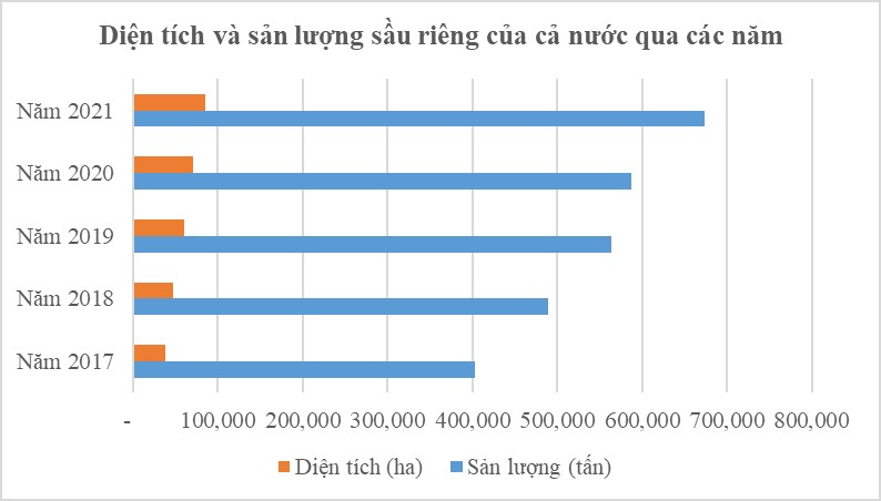 Xuất khẩu chính ngạch sang thị trường Trung Quốc – hướng đi bền vững cho ngành sầu riêng